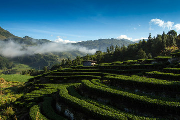 壽寧風(fēng)景