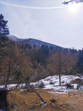 春天殘雪