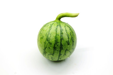 小鳳瓜