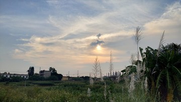 田園風(fēng)光