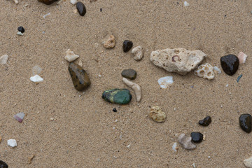 海島游玩沙灘貝殼和碎珊瑚石