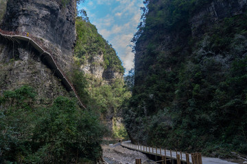 三峽竹海