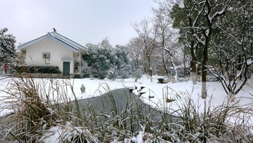 武漢市漢陽月湖公園雪景