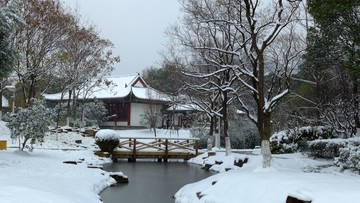 武漢市漢陽區(qū)月湖公園雪景