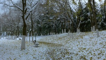 武漢市漢陽區(qū)月湖公園雪景