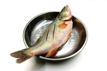 鱸魚