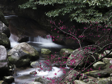 花溪