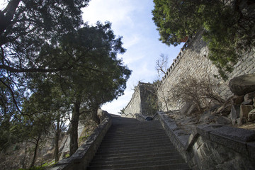 泰山風光
