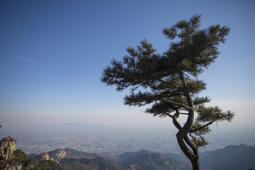 泰山風(fēng)光