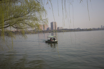 大明湖公園