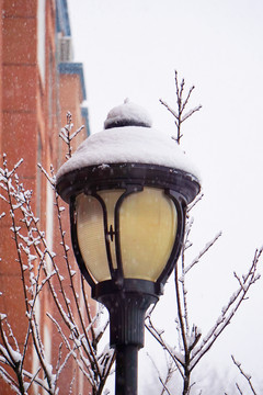 雪