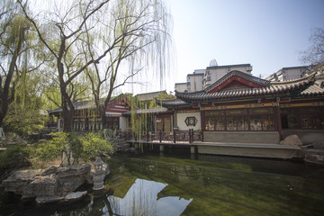 趵突泉公園
