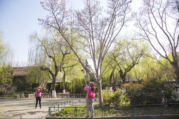 趵突泉公園
