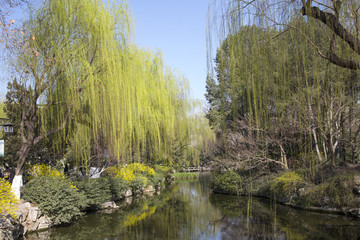 趵突泉公園
