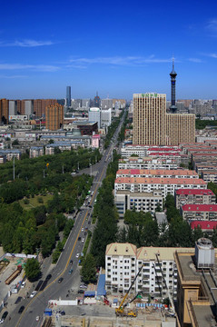 鳥(niǎo)瞰石家莊體育大街街景