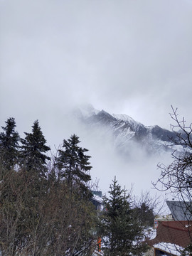 雪景