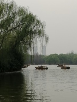 春天