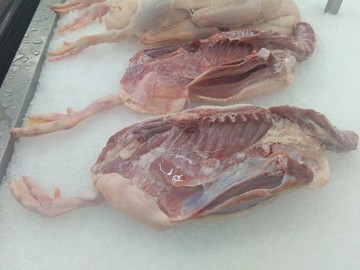 凍鴨肉
