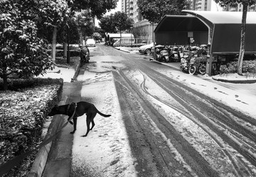 小區(qū)雪痕