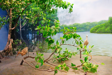 綠色浙江生態(tài)系統(tǒng)復原場景