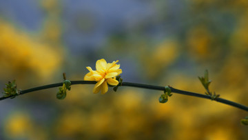 春暖花開