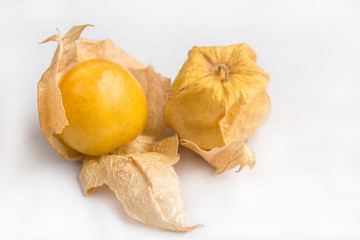 燈籠果
