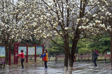 青州范公亭公園鮮花爭艷