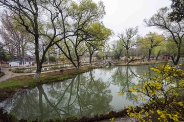 青州范公亭公園鮮花爭艷