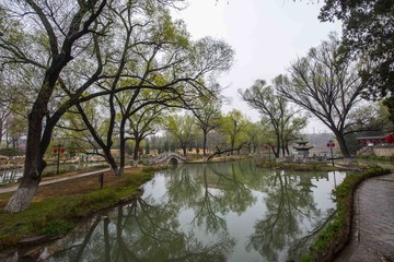 青州范公亭公園鮮花爭(zhēng)艷