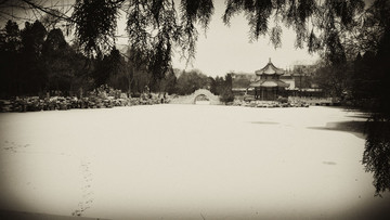 保定蓮花池黑白雪景