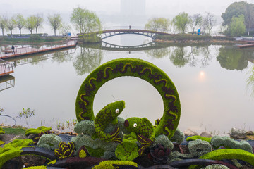 春到龍池湖4