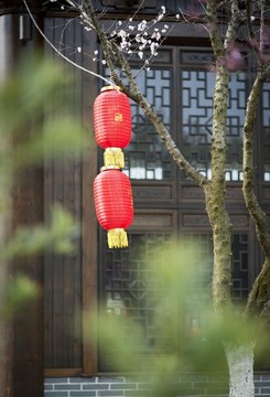 杏花園