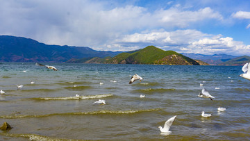 瀘沽湖