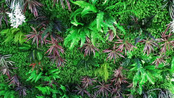 綠植墻