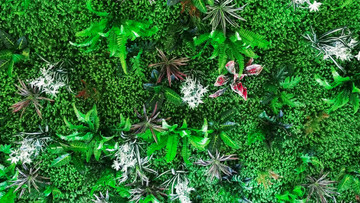 綠植墻