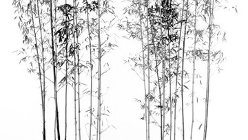 水墨竹子