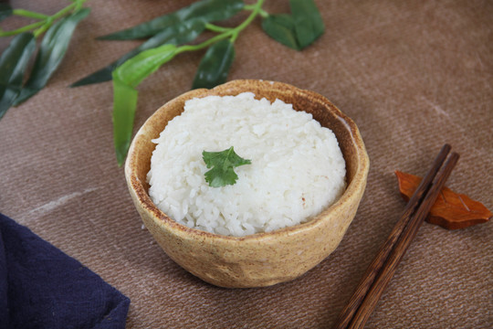 米飯