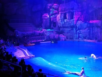海洋公園的燈光秀