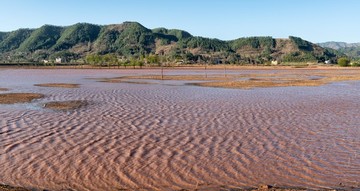 會(huì)澤大橋黑頸鶴保護(hù)區(qū)
