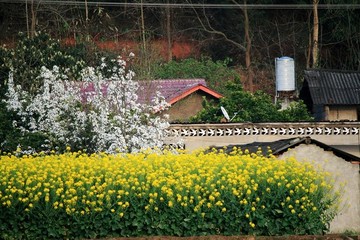 春到農(nóng)家