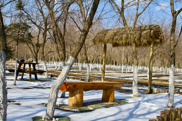 冬季的公園