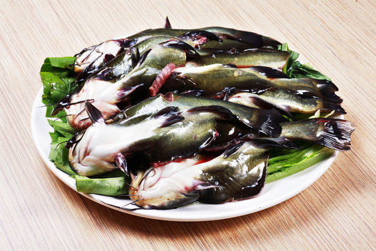 黃臘丁