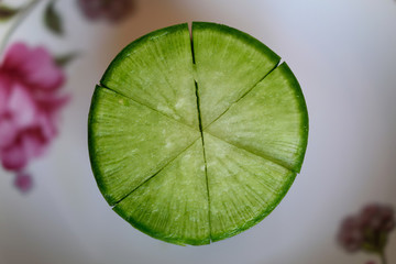 沙窩蘿卜