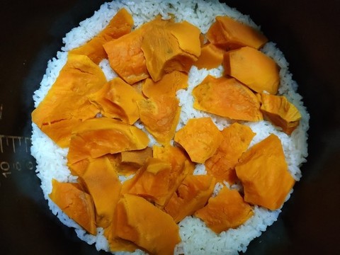 一鍋紅薯米飯