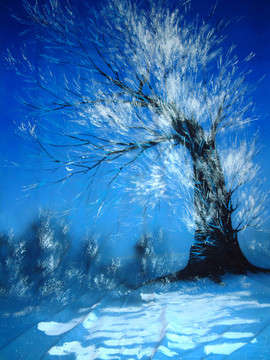 雪松