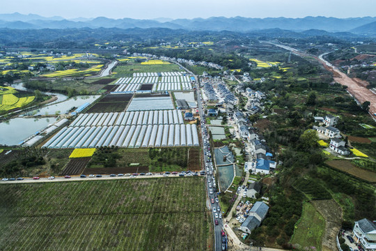 美麗鄉(xiāng)村