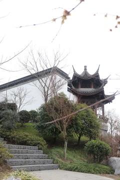 風(fēng)景園林