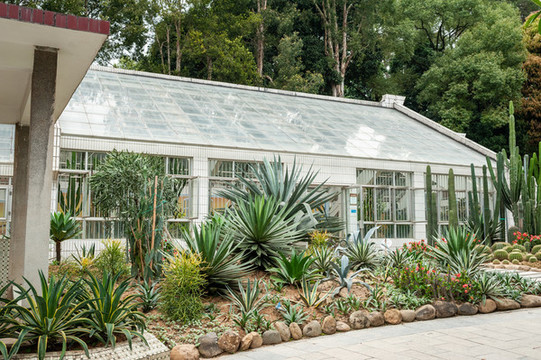 觀賞植物園