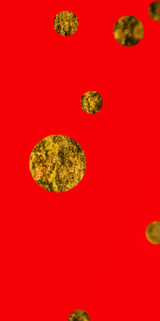 紅紙