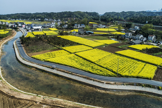 湖北宜都油菜花海航拍